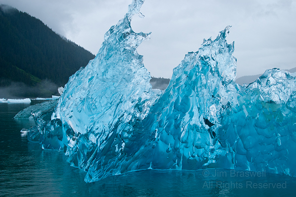Iceberg from LeConte Glacier