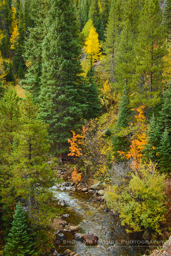 Fall Colors along Bear Lake Road
