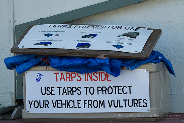 Box of tarps and bungee cords