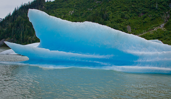 Iceberg from Shakes Glacier, Alaska