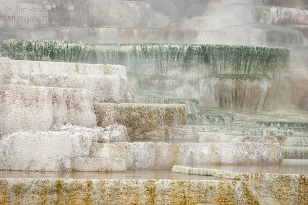 Lower Terraces, Mammoth Hot Springs (Yellowstone NP)