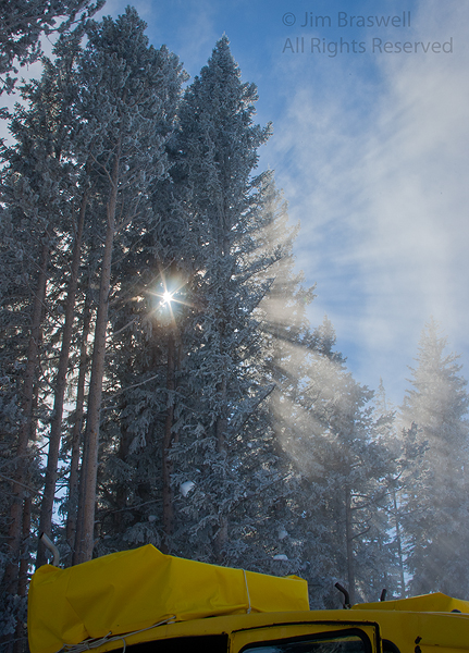 Light filters through the trees at West Thumb (Yellowstone NP)