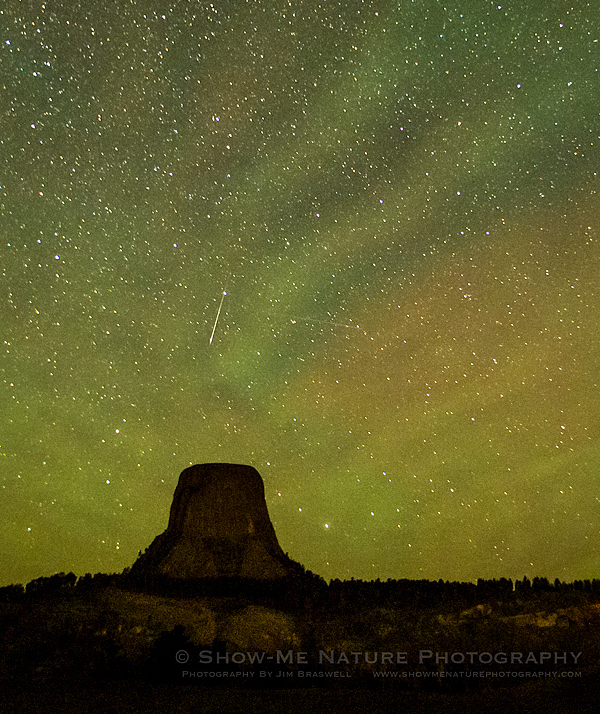 Perseid meteor shower over Devil's Tower NM