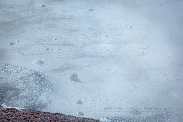 Bubbling mud pot in Yellowstone NP