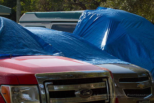 Early morning visitors' cars, protected with tarps