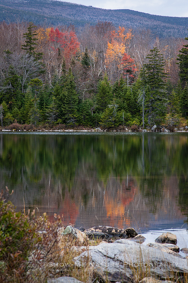 Fall colors around Sandy Stream Pond