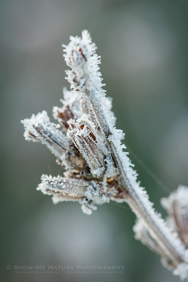 Heavy frost