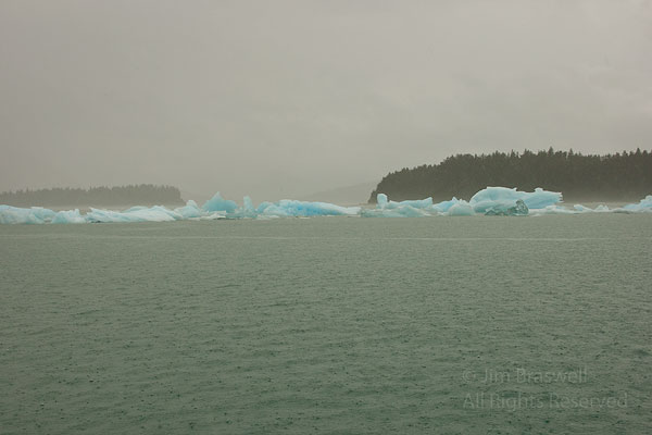 Blue Ice as we approach LeConte Glacier, Alaska