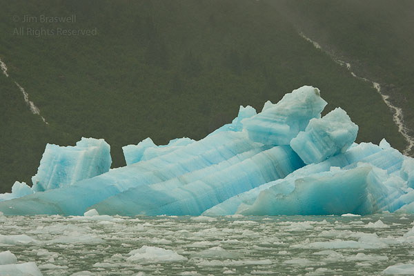 Blue Ice in LeConte Bay, Alaska